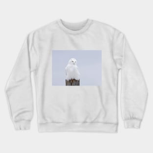 The Ghost - Snowy Owl Crewneck Sweatshirt